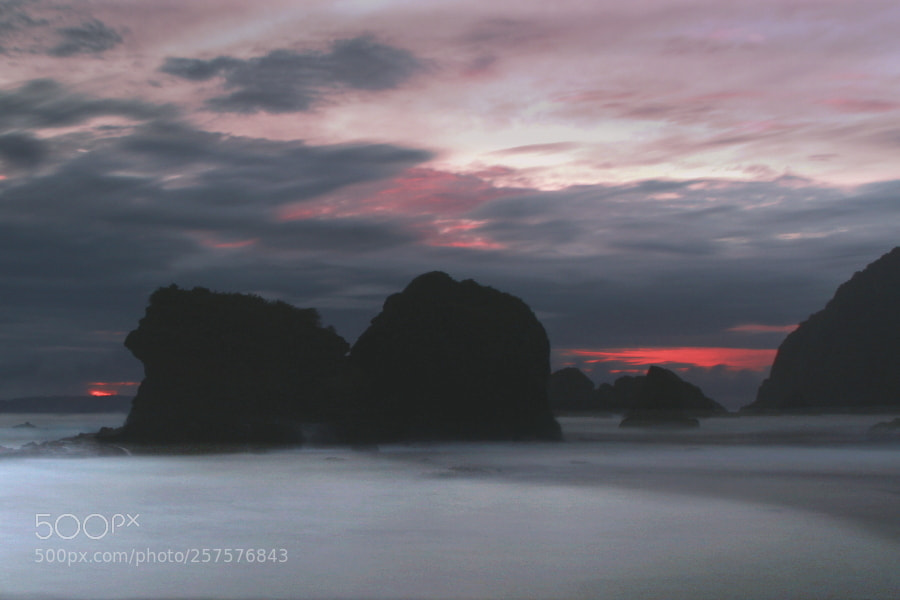Canon EOS 7D + Canon EF 24-105mm F4L IS USM sample photo. Silhouette photography