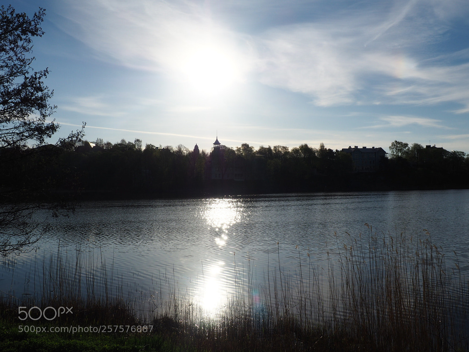 Olympus OM-D E-M10 II sample photo. Morning photography
