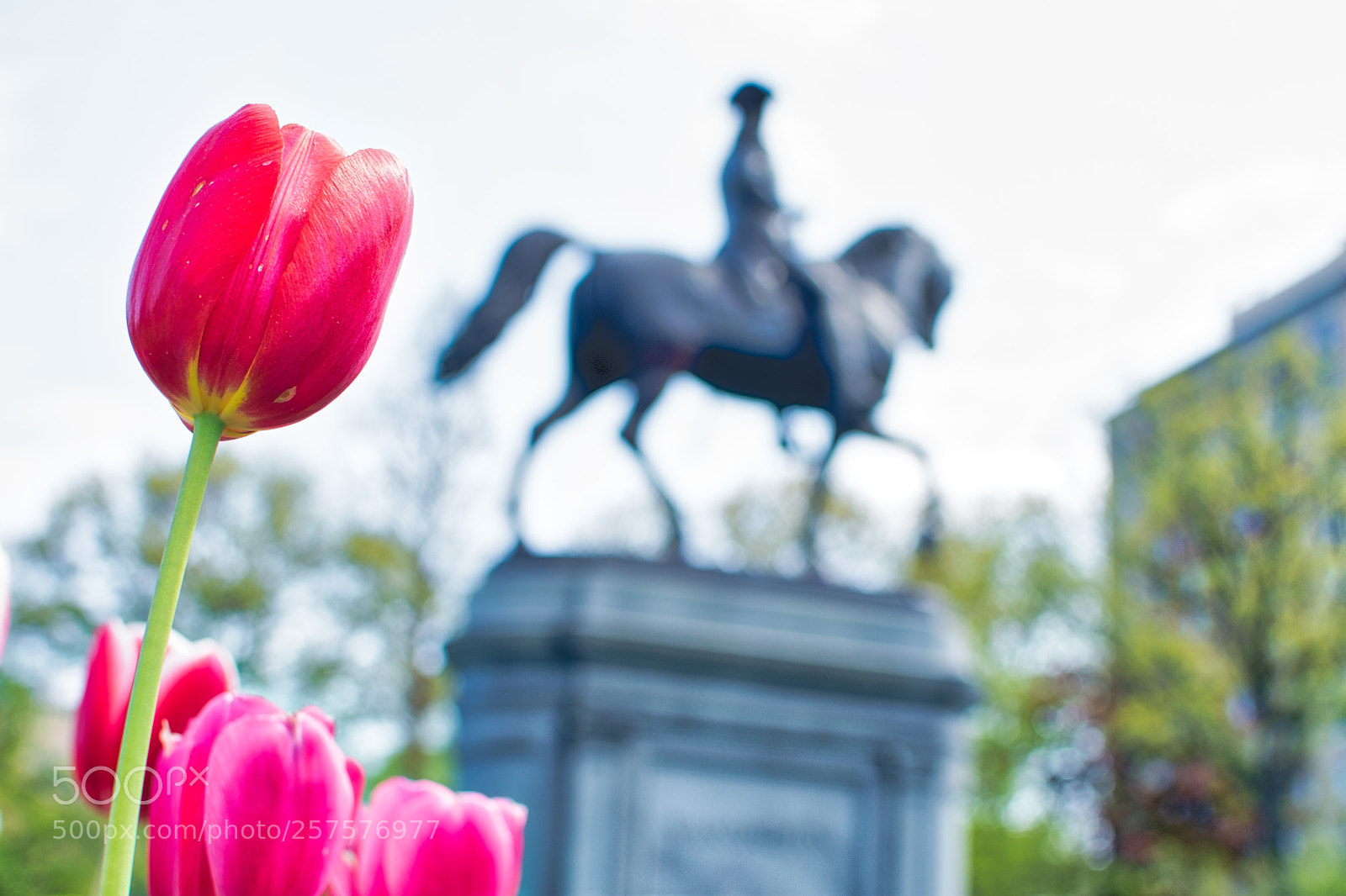 Nikon D7200 sample photo. Statue photography
