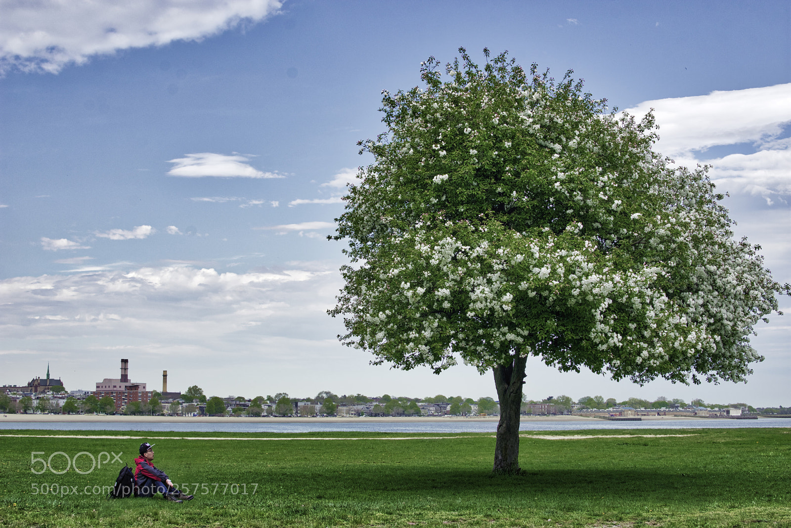 Nikon D7200 sample photo. Lonely traveler photography