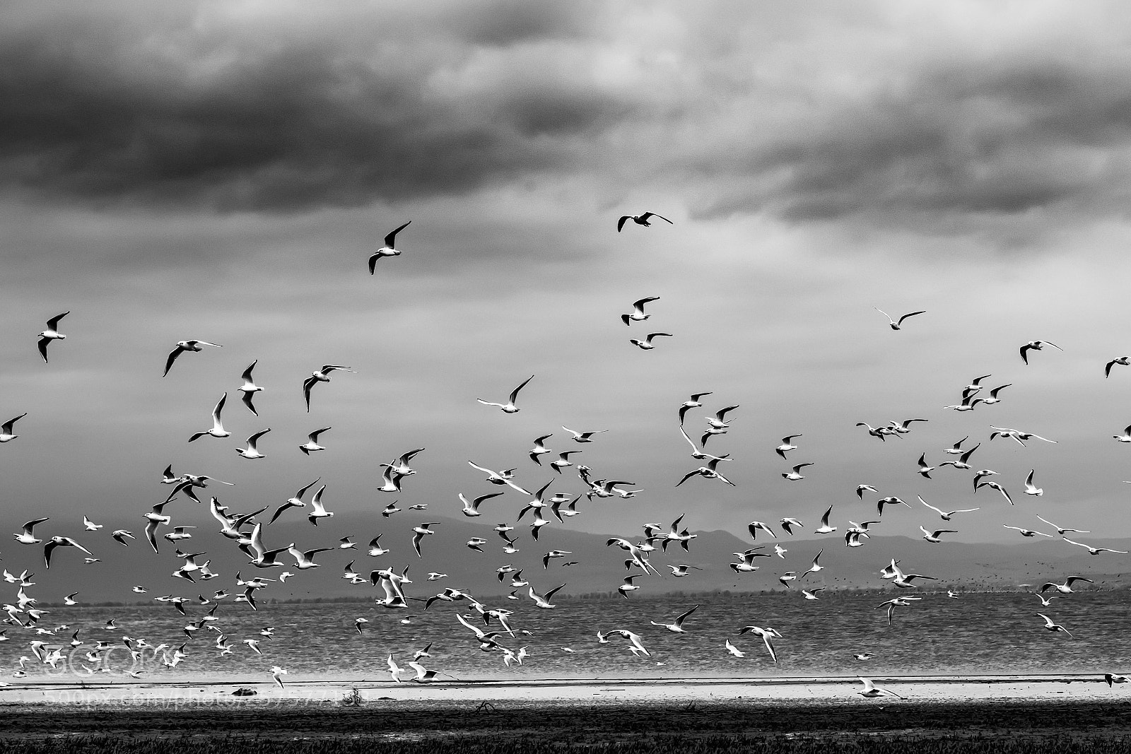 Fujifilm X-T2 sample photo. After the storm photography