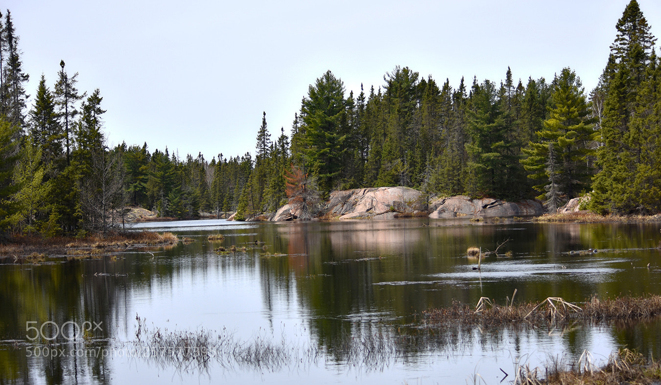 Nikon D3400 sample photo. Quietude photography