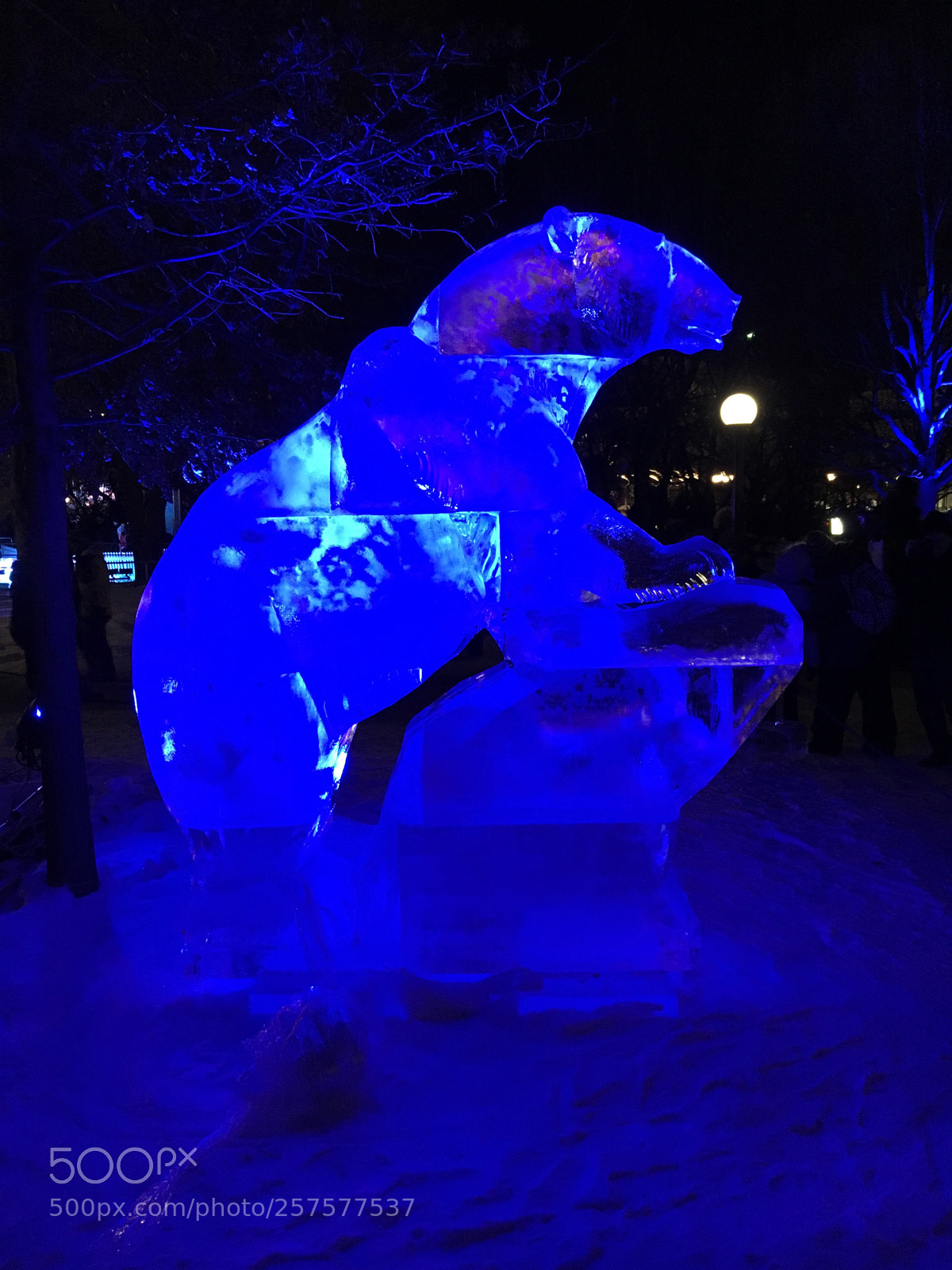 Apple iPhone 6s sample photo. Ice bears photography