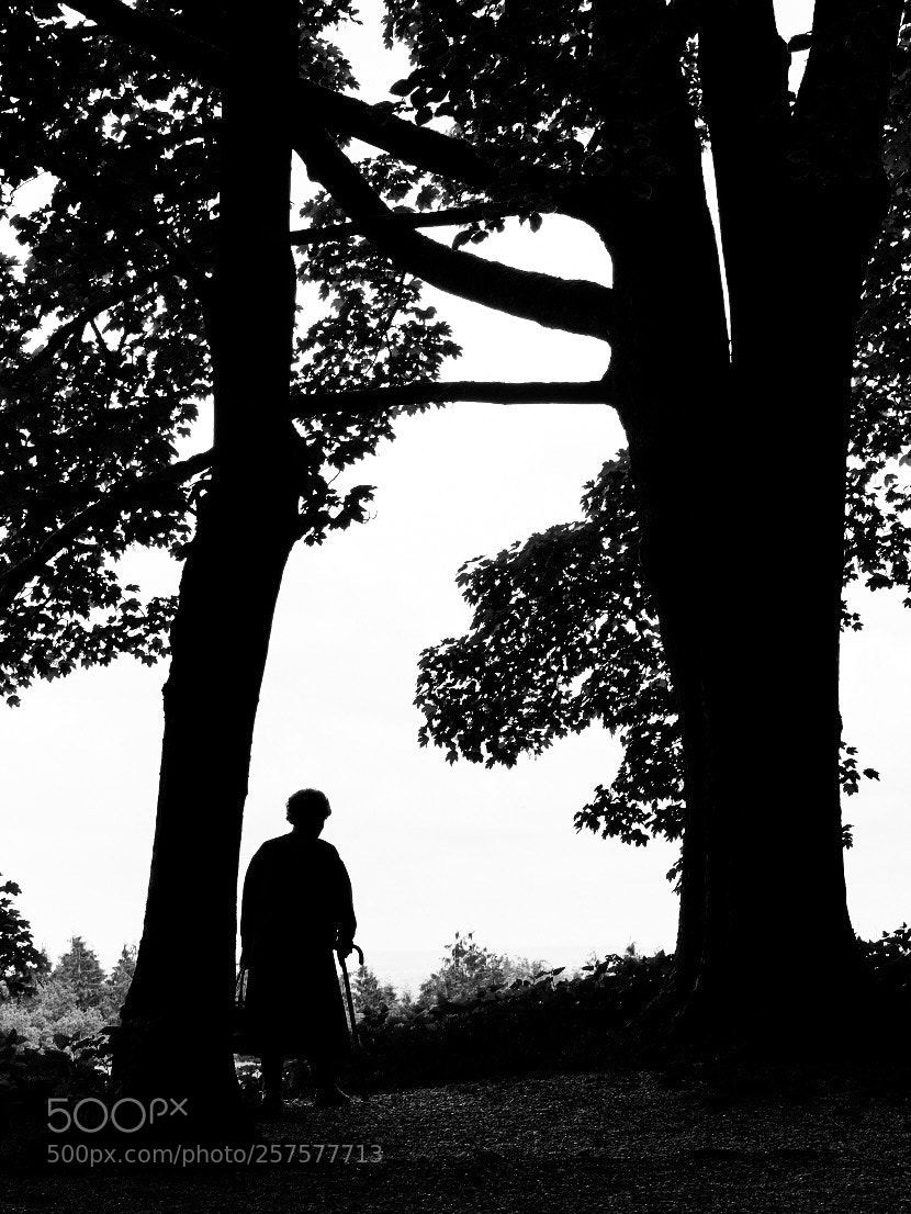 Fujifilm X-T20 sample photo. Surveying the countryside  photography