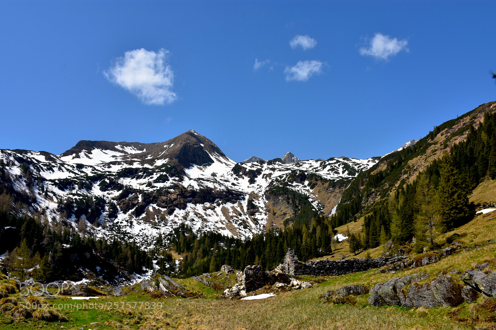 Nikon D7200 sample photo. 1.551 metre photography