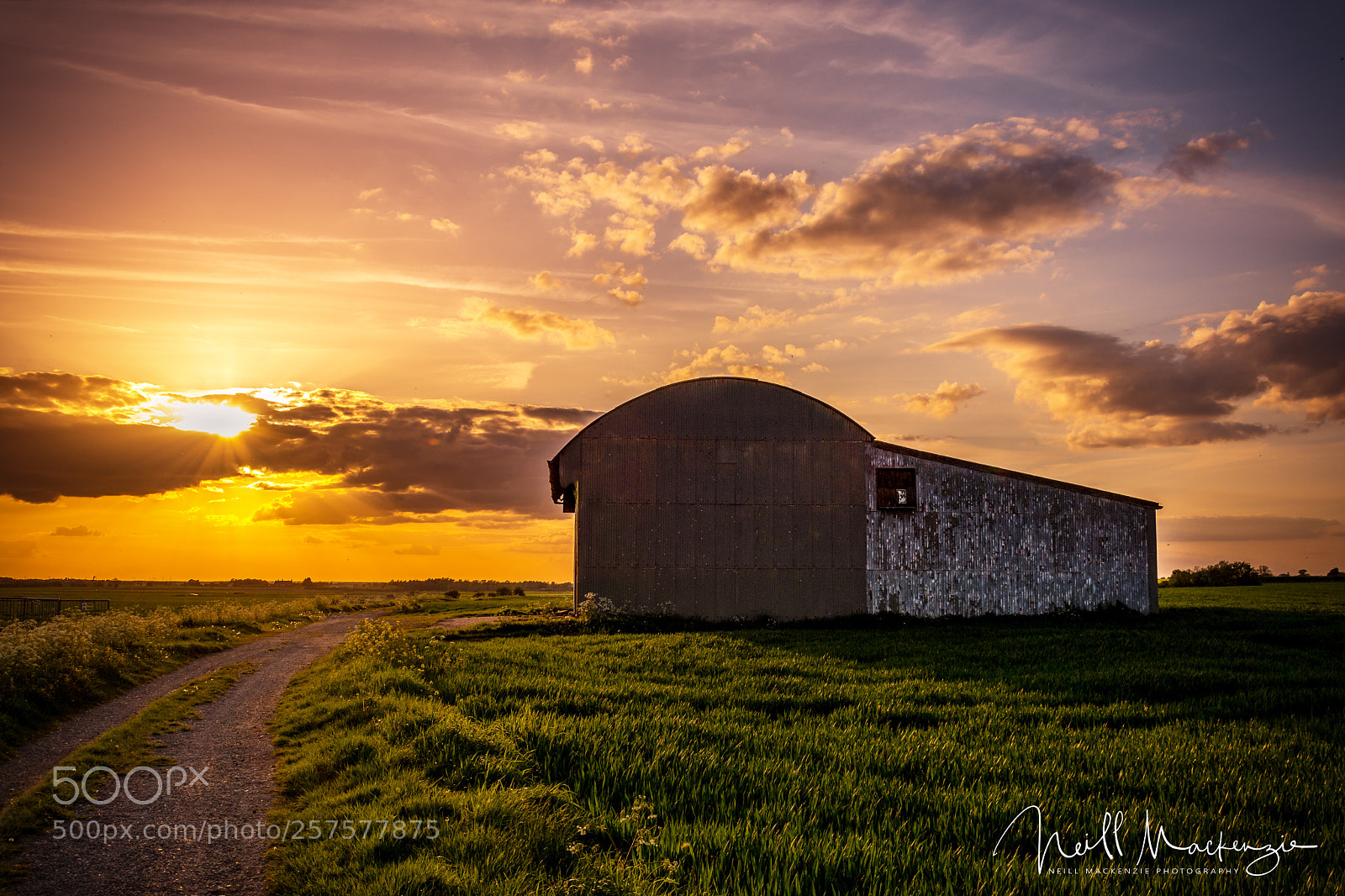 Nikon D7200 sample photo. The old cow shed photography