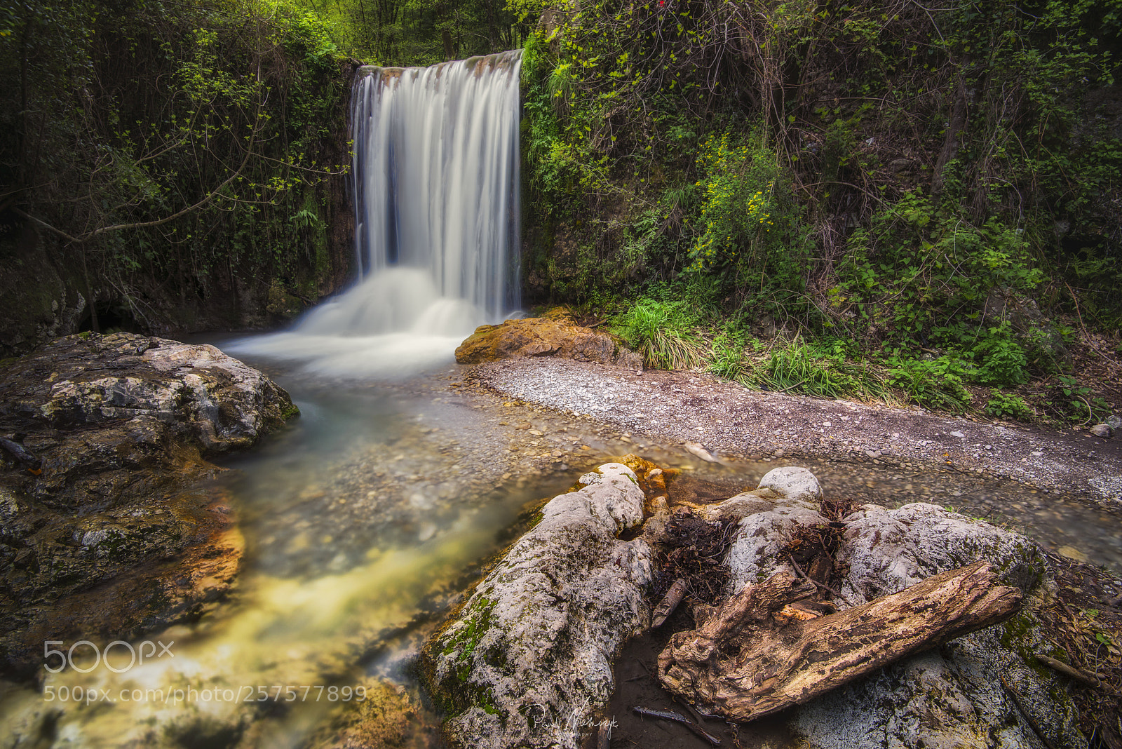 Nikon D750 sample photo. Valle delle ferierre photography