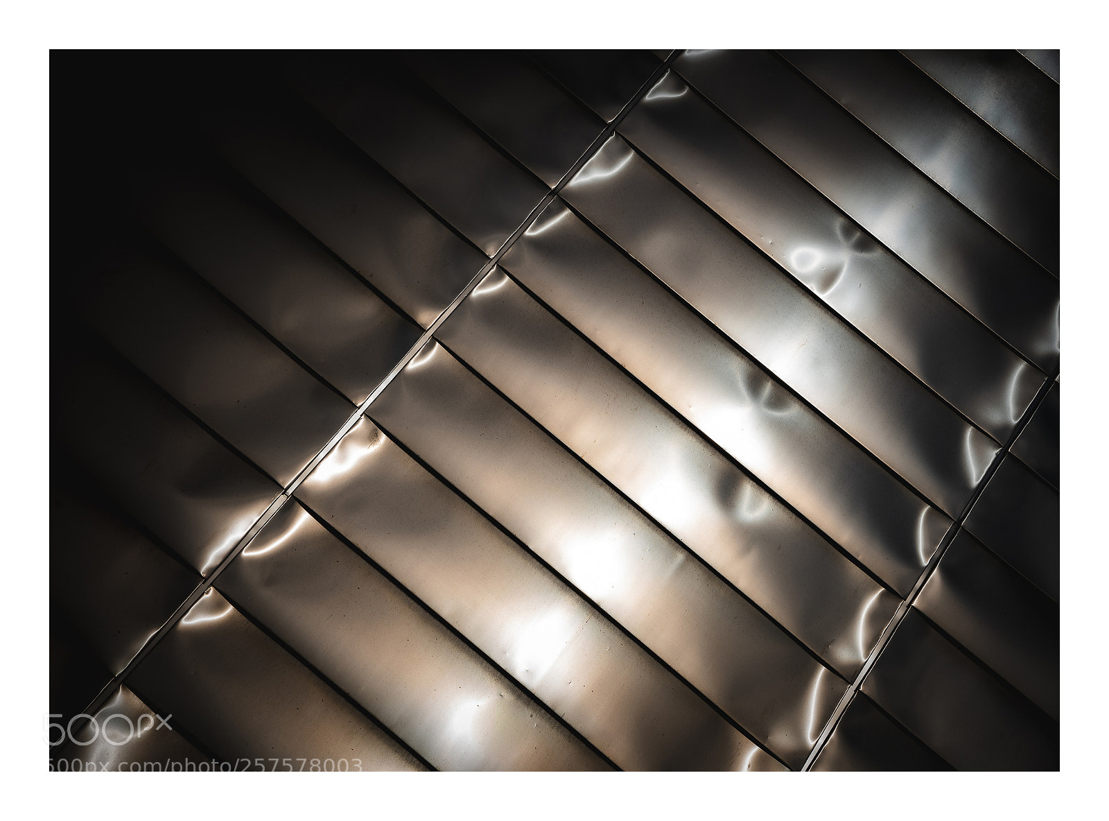 Nikon D750 sample photo. Rough silk photography