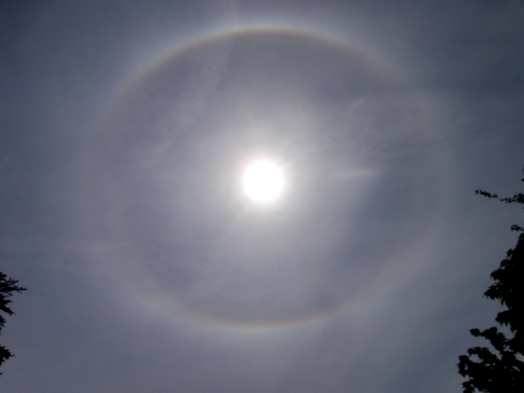 Olympus VR340,D750 sample photo. Halo photography