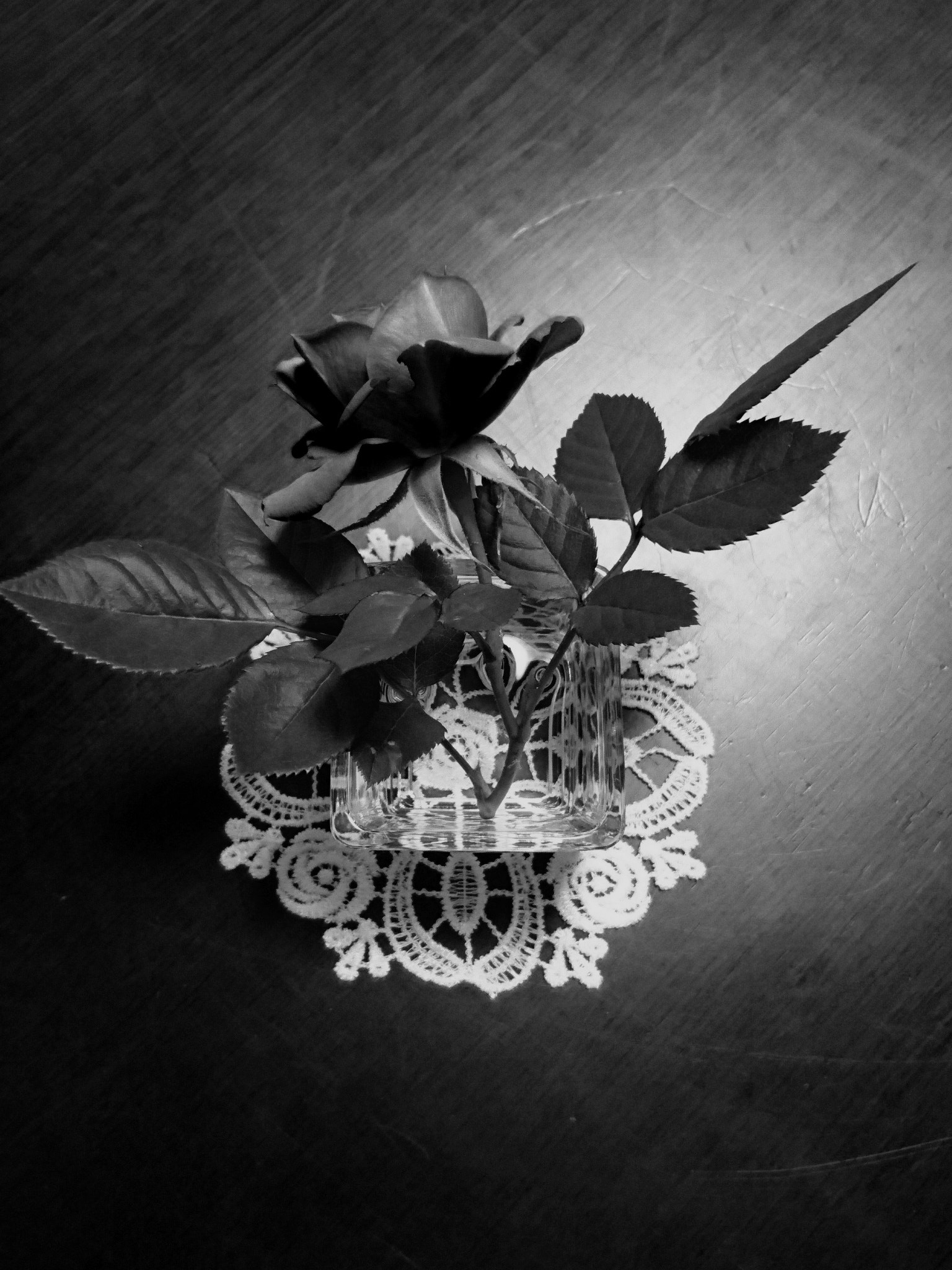 Sony Xperia Z5 sample photo. Rose on rose doily photography