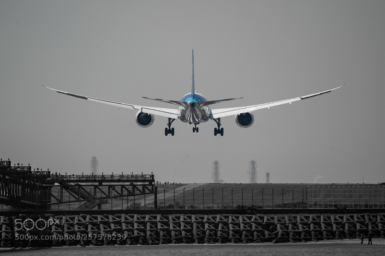Nikon D3 sample photo. Before landing photography