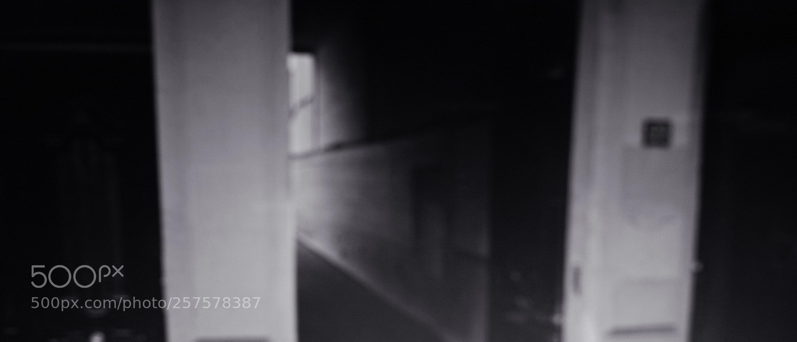 Sigma dp2 Quattro sample photo. Xd photography