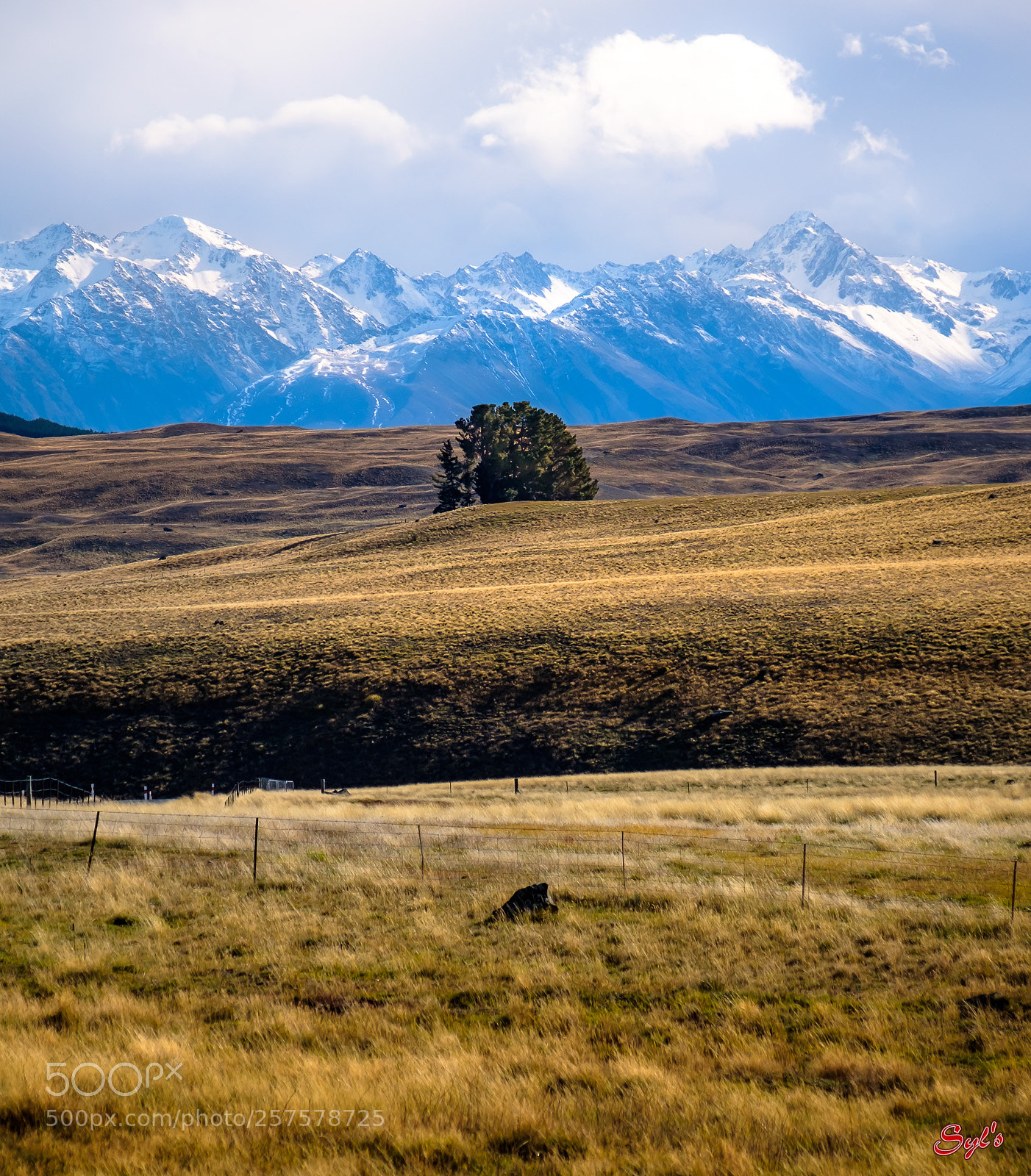 Fujifilm X-T2 sample photo. Pasture photography