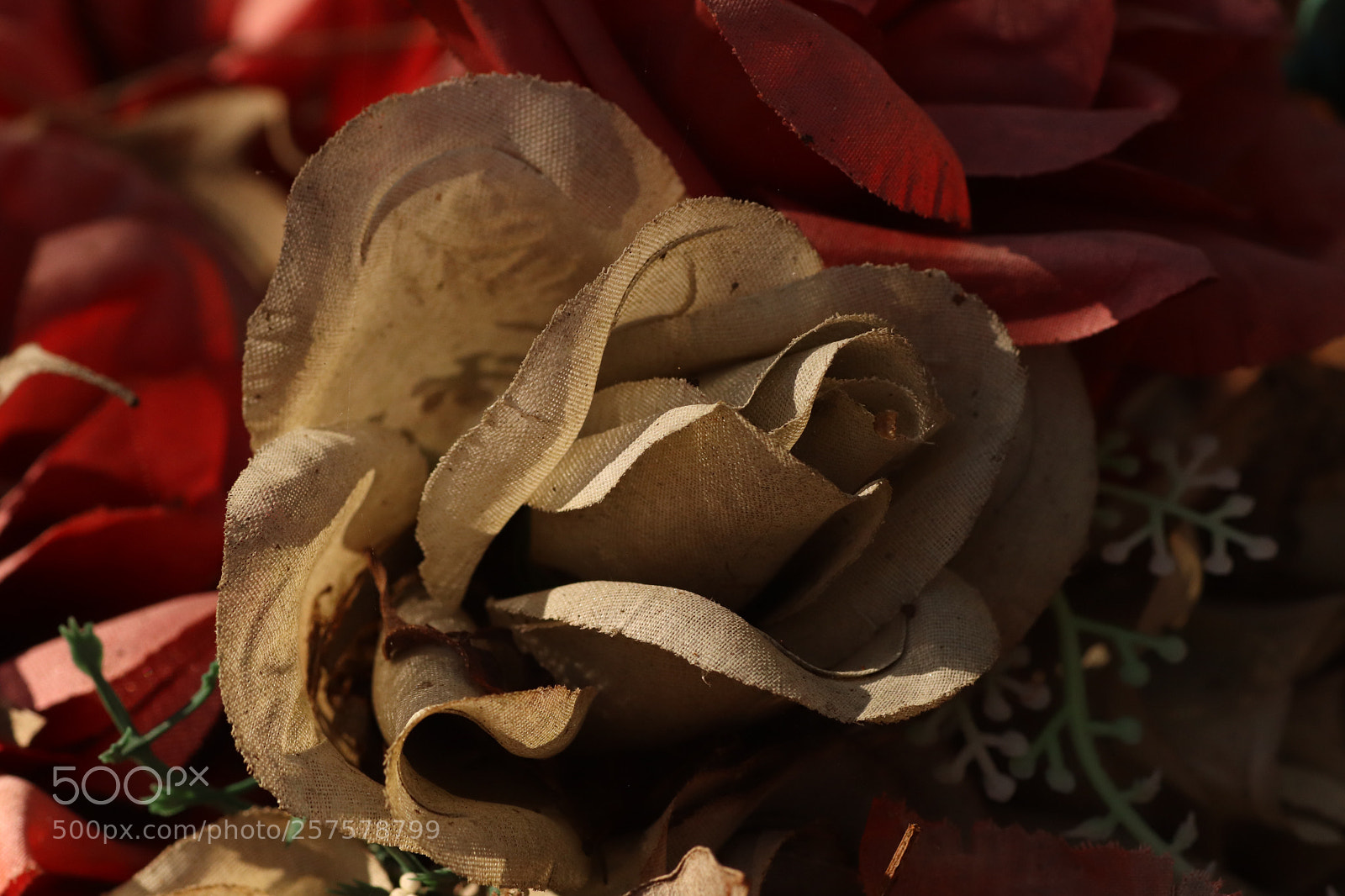 Canon EOS 77D (EOS 9000D / EOS 770D) sample photo. Faux rose photography