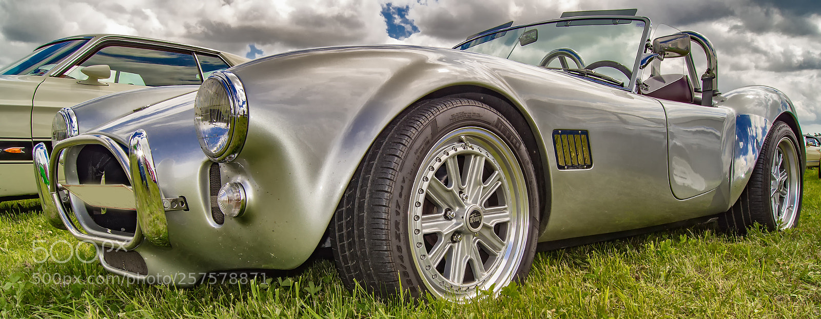 Sony SLT-A55 (SLT-A55V) sample photo. Ac  cobra photography