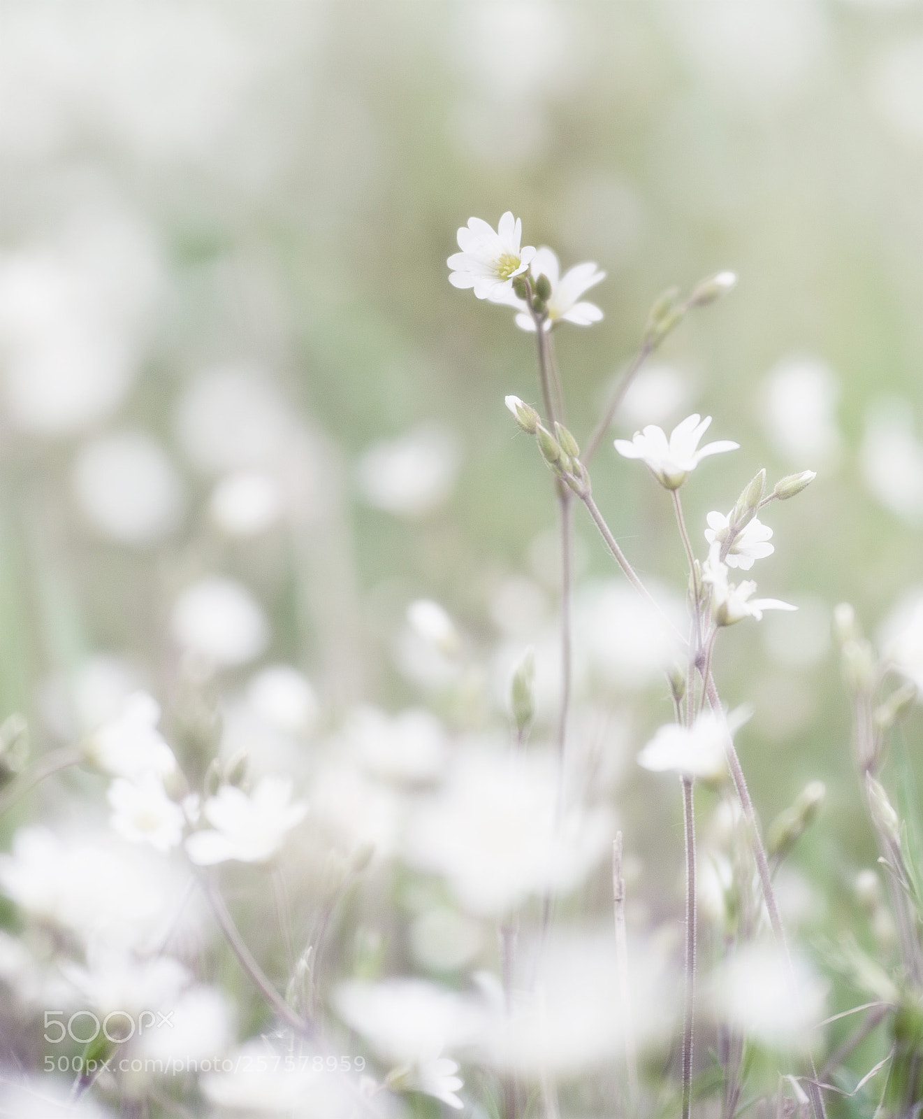 Nikon D800 sample photo. Feels like summer photography