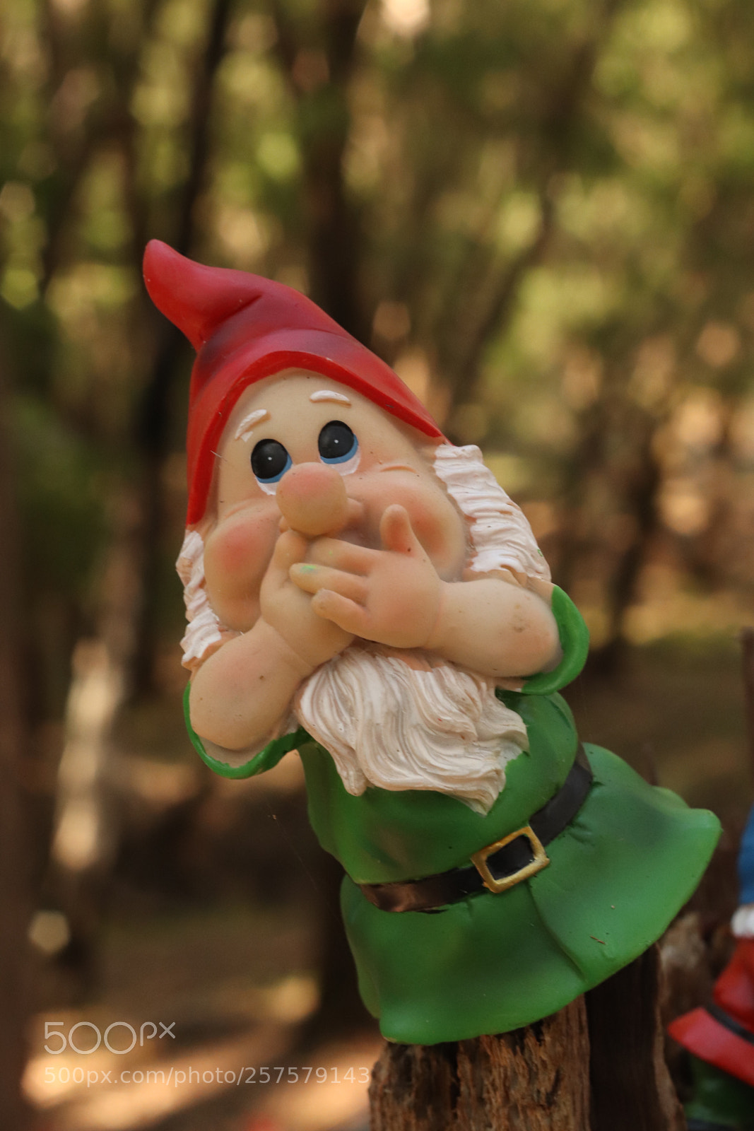Canon EOS 77D (EOS 9000D / EOS 770D) sample photo. Tree gnome photography