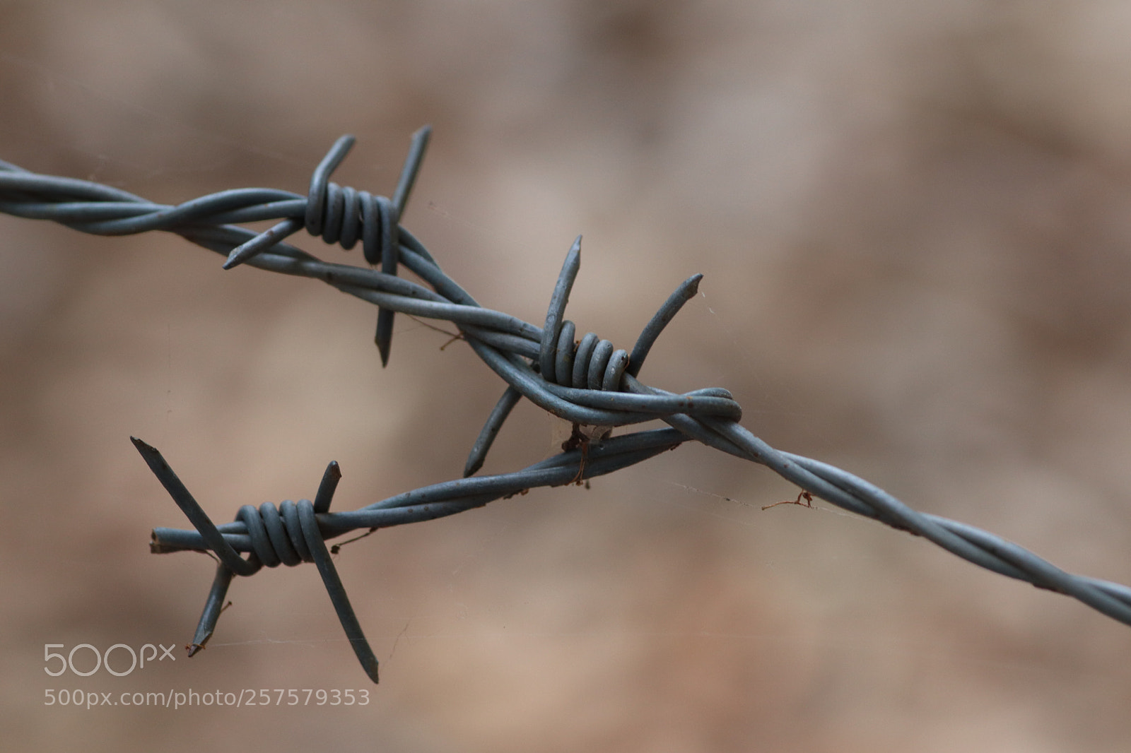 Canon EOS 77D (EOS 9000D / EOS 770D) sample photo. Barbed wire trio photography