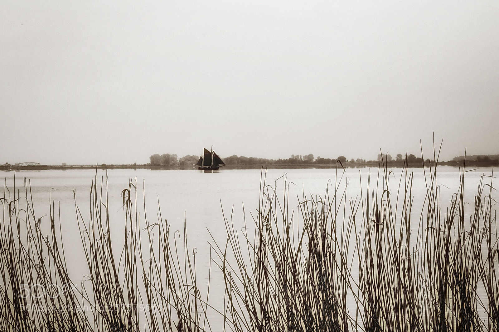 Olympus OM-D E-M10 sample photo. I am sailing... photography