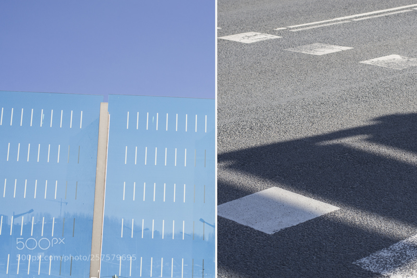 Nikon D3100 sample photo. Untitled photography