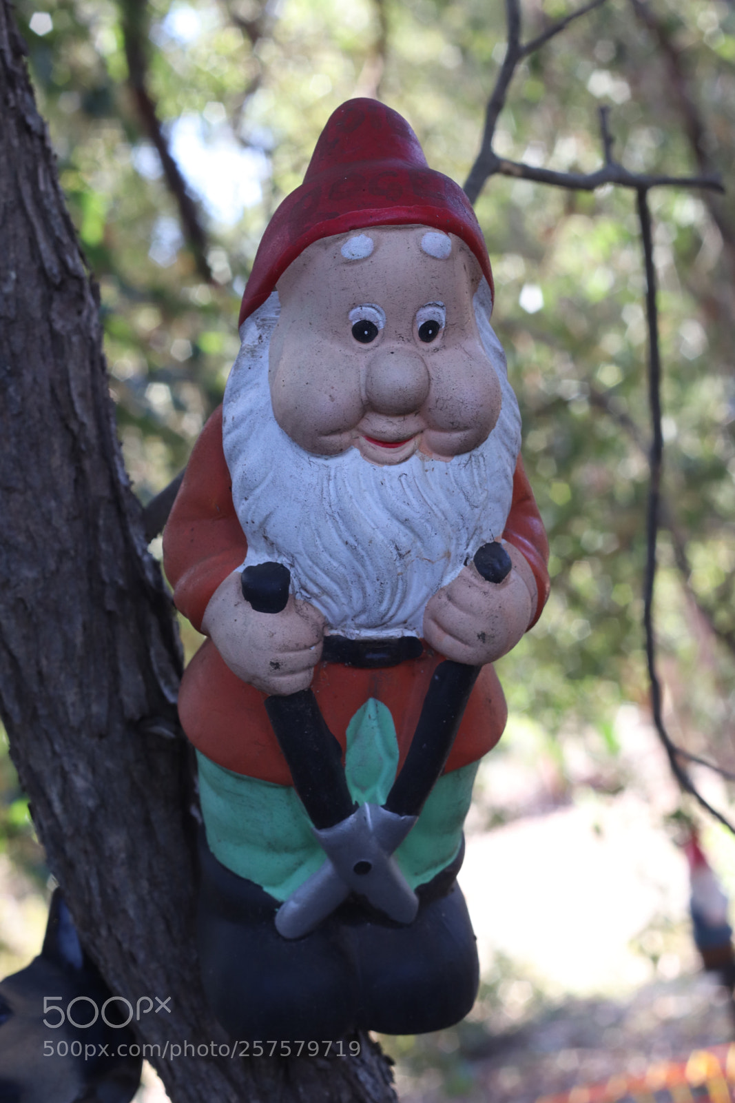 Canon EOS 77D (EOS 9000D / EOS 770D) sample photo. Gardening shears photography