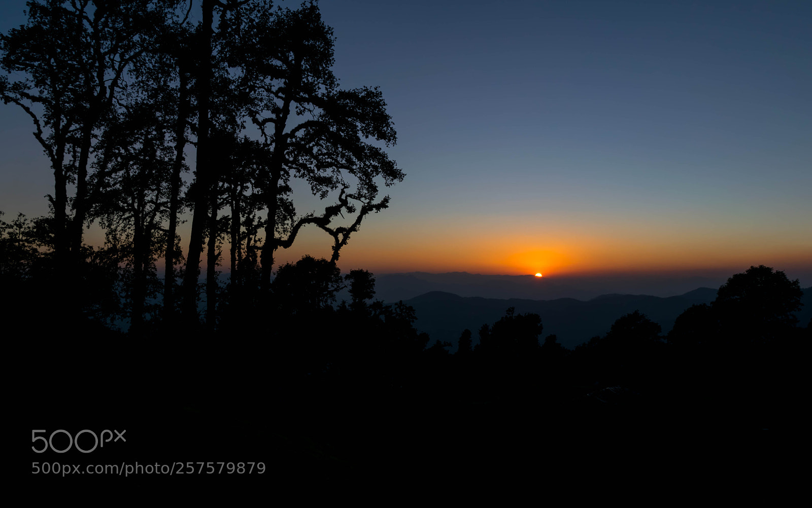 Nikon D3300 sample photo. Colors when the sun photography