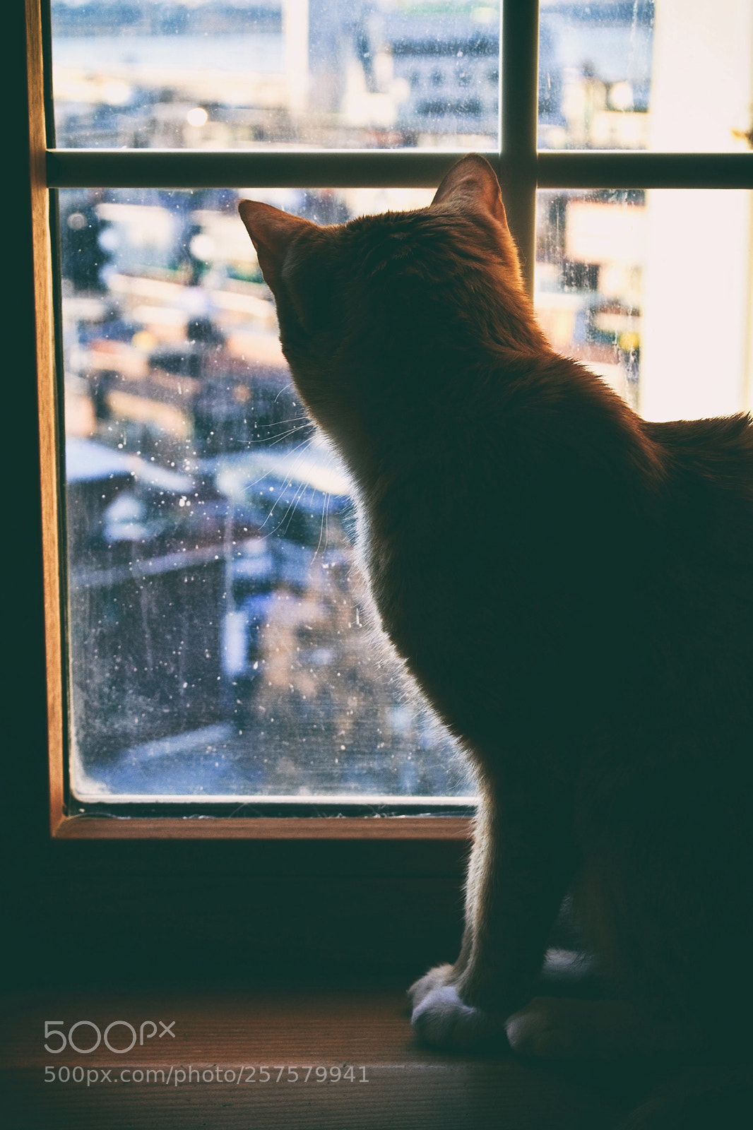 Nikon D5100 sample photo. City watch photography