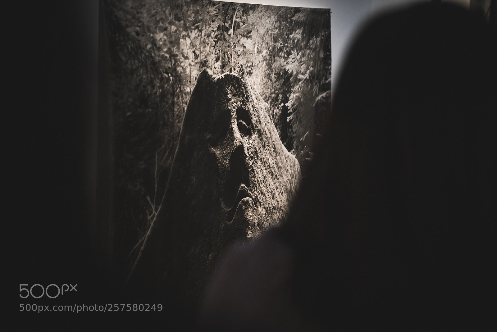 Sony a7S II sample photo. Woman admiring dog cemetery photography