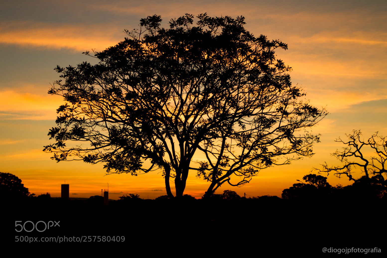 Canon EOS 7D sample photo. Untitled photography