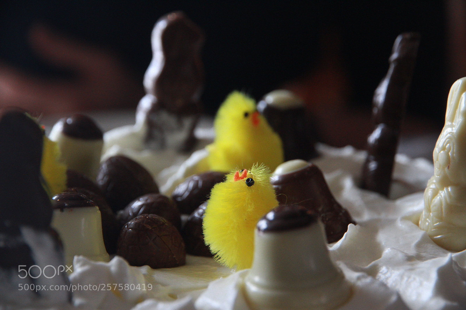 Canon EOS 7D sample photo. Starring at easter bells photography
