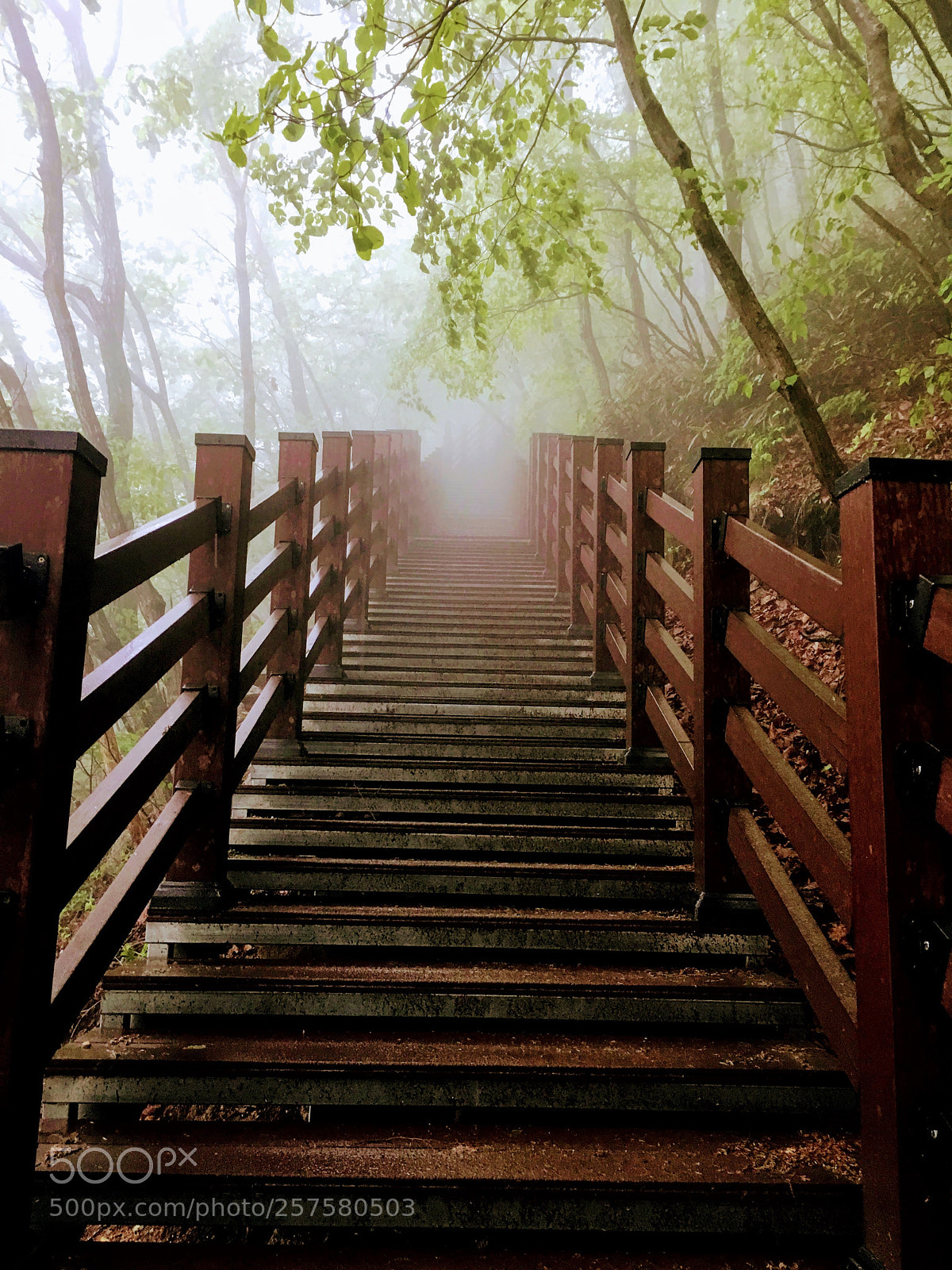 Apple iPhone 6s sample photo. Smoky stairs photography