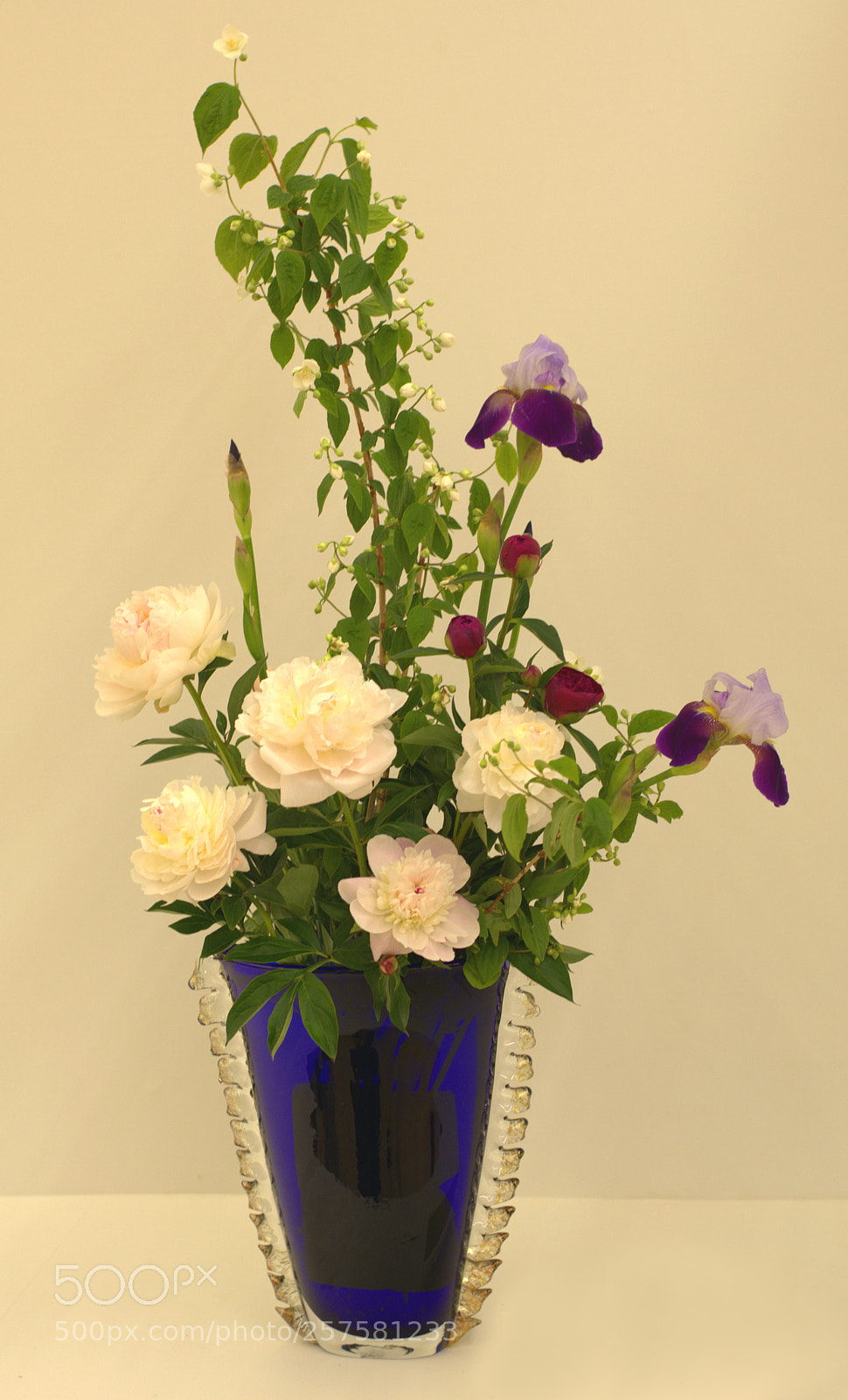 Nikon D7100 sample photo. Ikebana photography