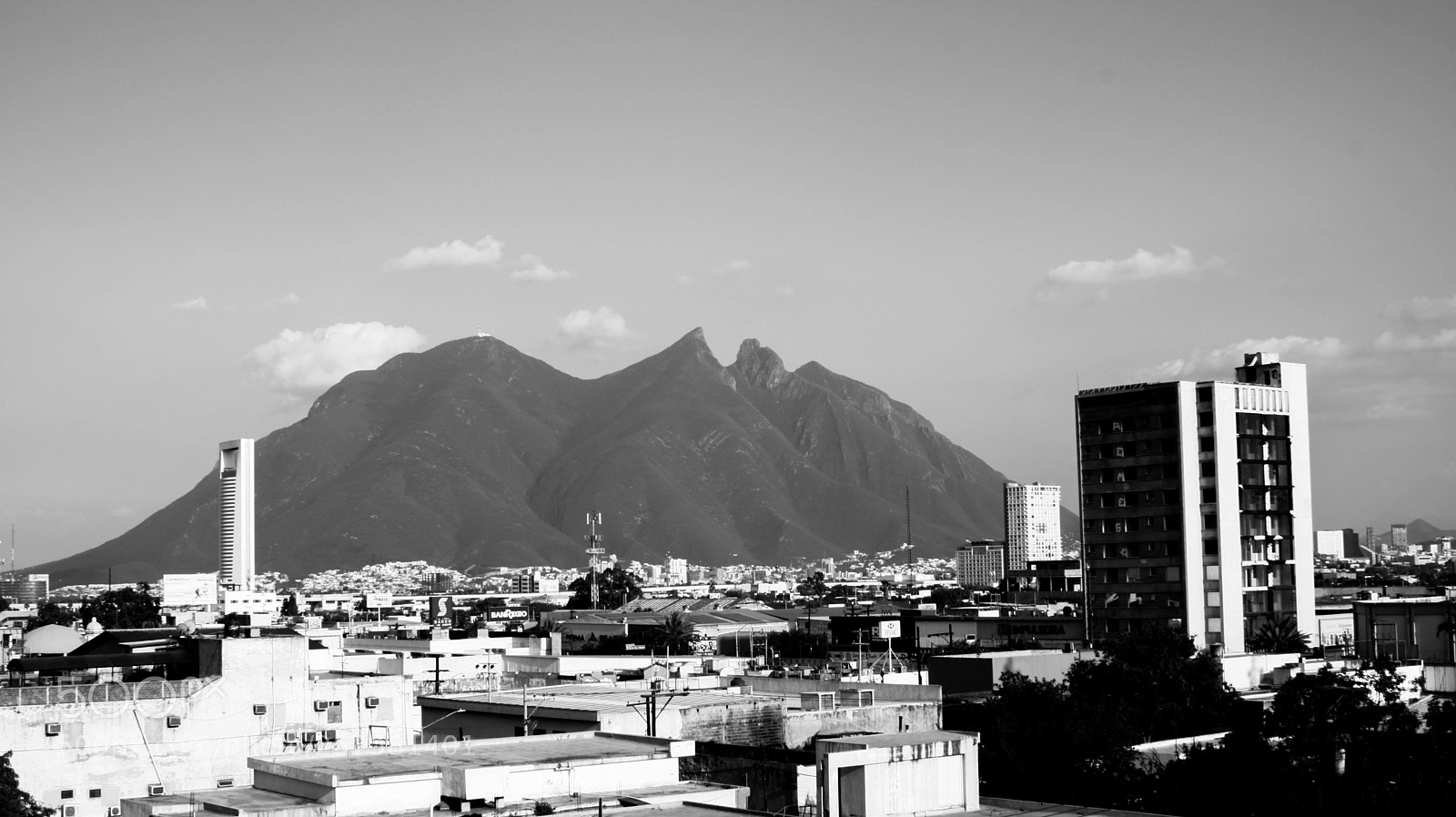 Canon EOS 750D (EOS Rebel T6i / EOS Kiss X8i) sample photo. Untitled photography