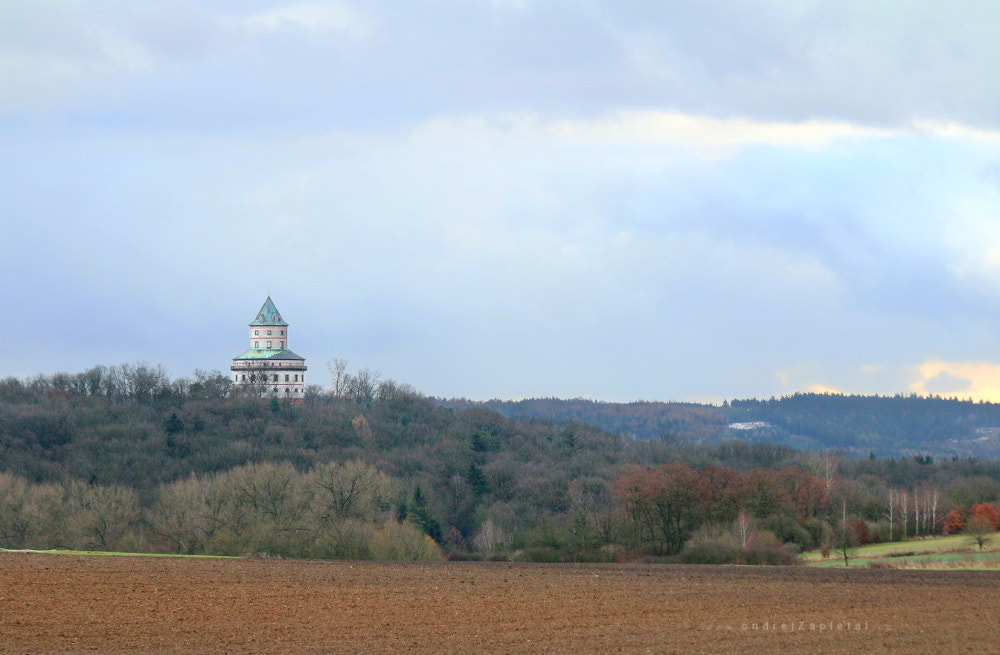Canon EF 70-300mm F4-5.6 IS USM sample photo. Humprecht photography