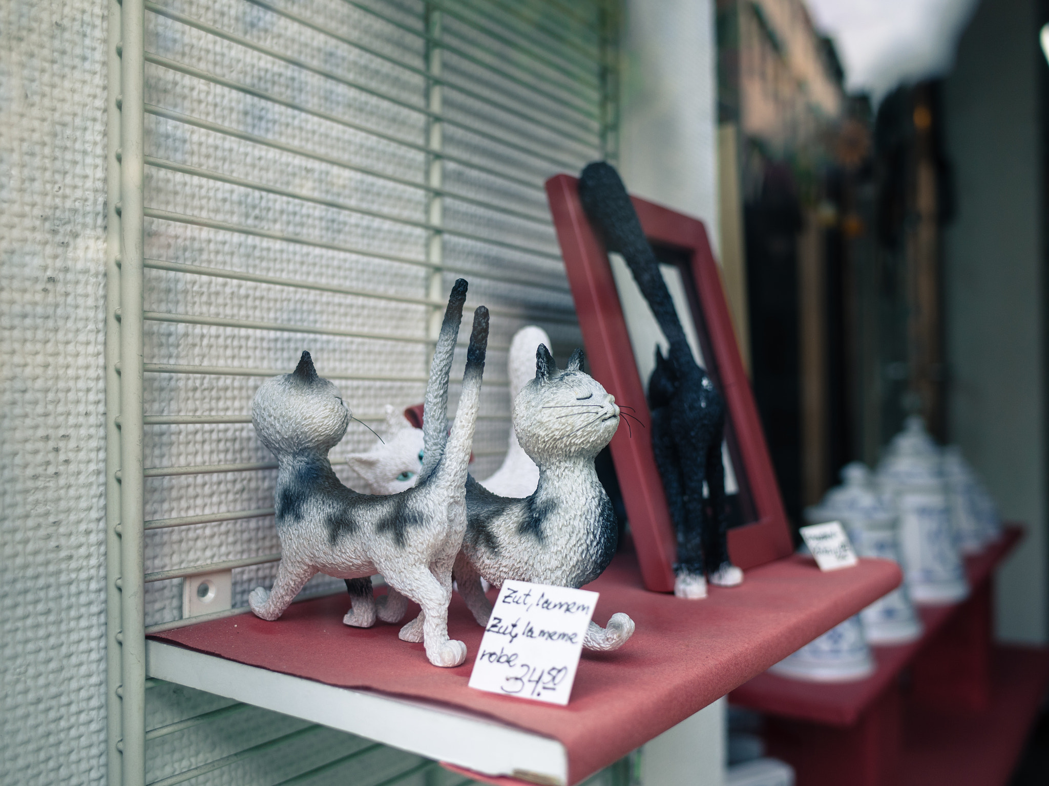 Ricoh GR sample photo. Rocketbn photography