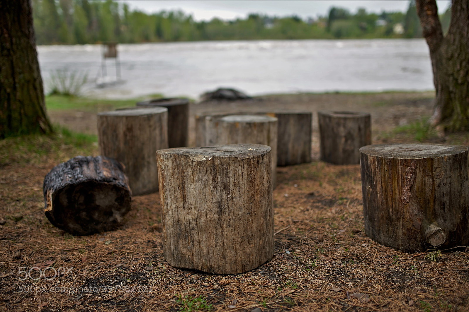 Sony a7 II sample photo. Stubber photography