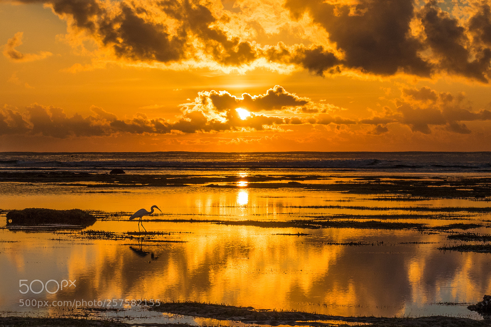 Olympus OM-D E-M1 sample photo. Heron sunrise photography