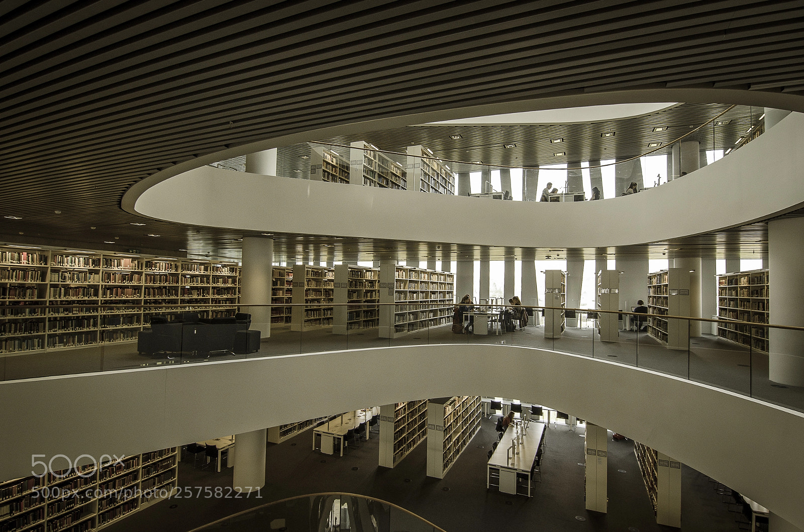 Nikon D7000 sample photo. Library photography