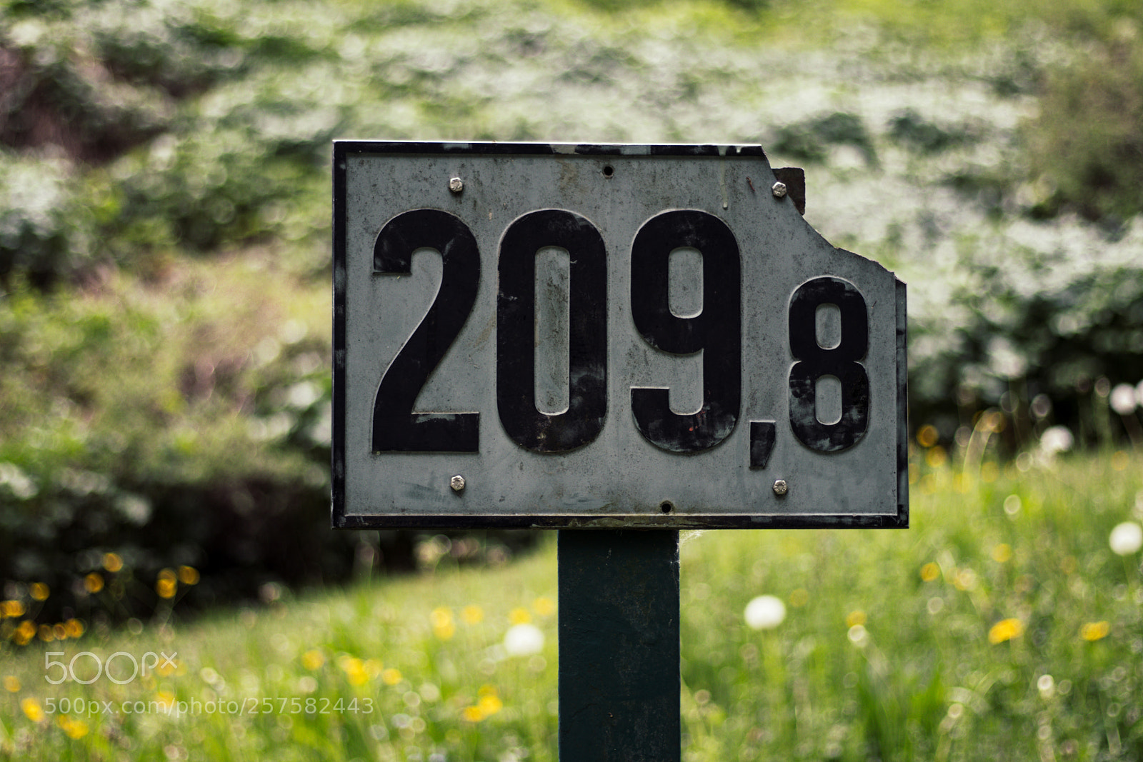 Canon EOS 77D (EOS 9000D / EOS 770D) sample photo. Landmark photography