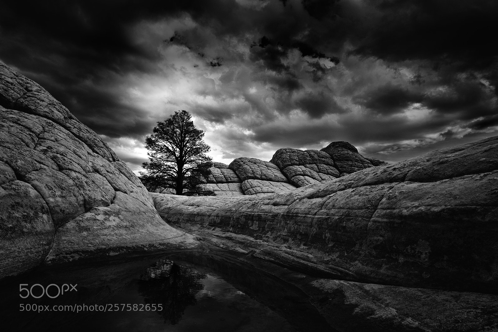 Canon EOS 5D Mark IV sample photo. Black & white pocket photography