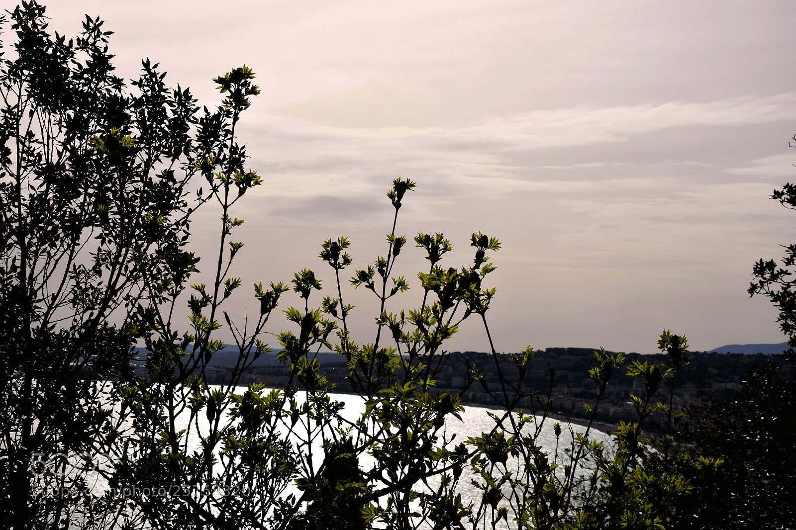 Nikon D3300 sample photo. Dsc photography