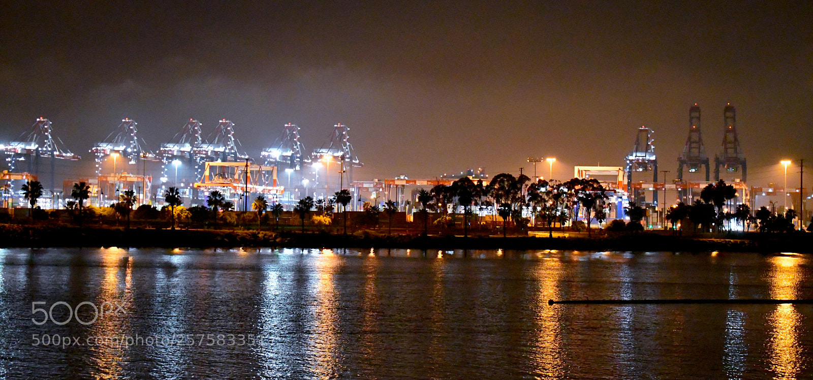 Nikon D7500 sample photo. Lbct photography