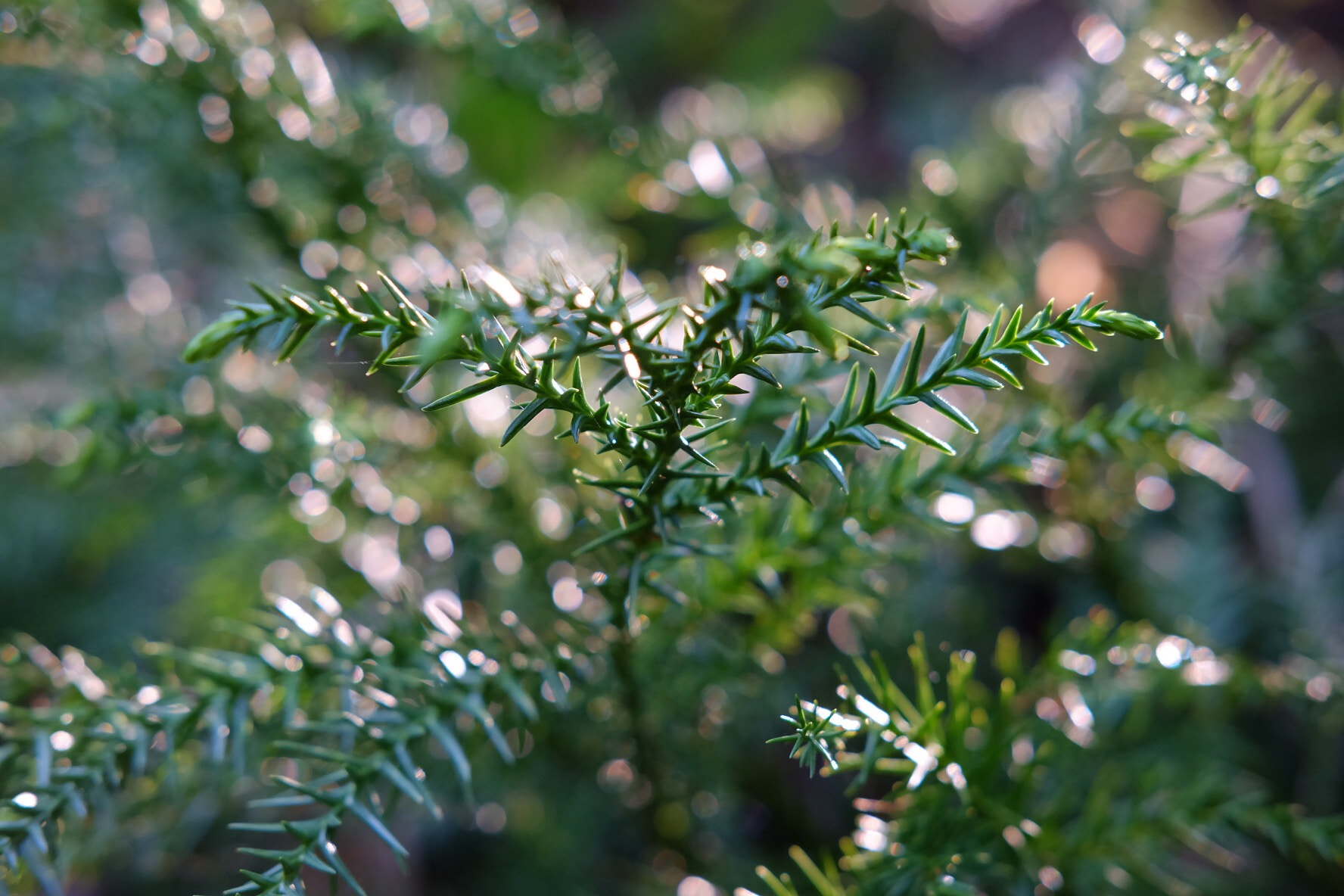 Fujifilm X-A1 sample photo