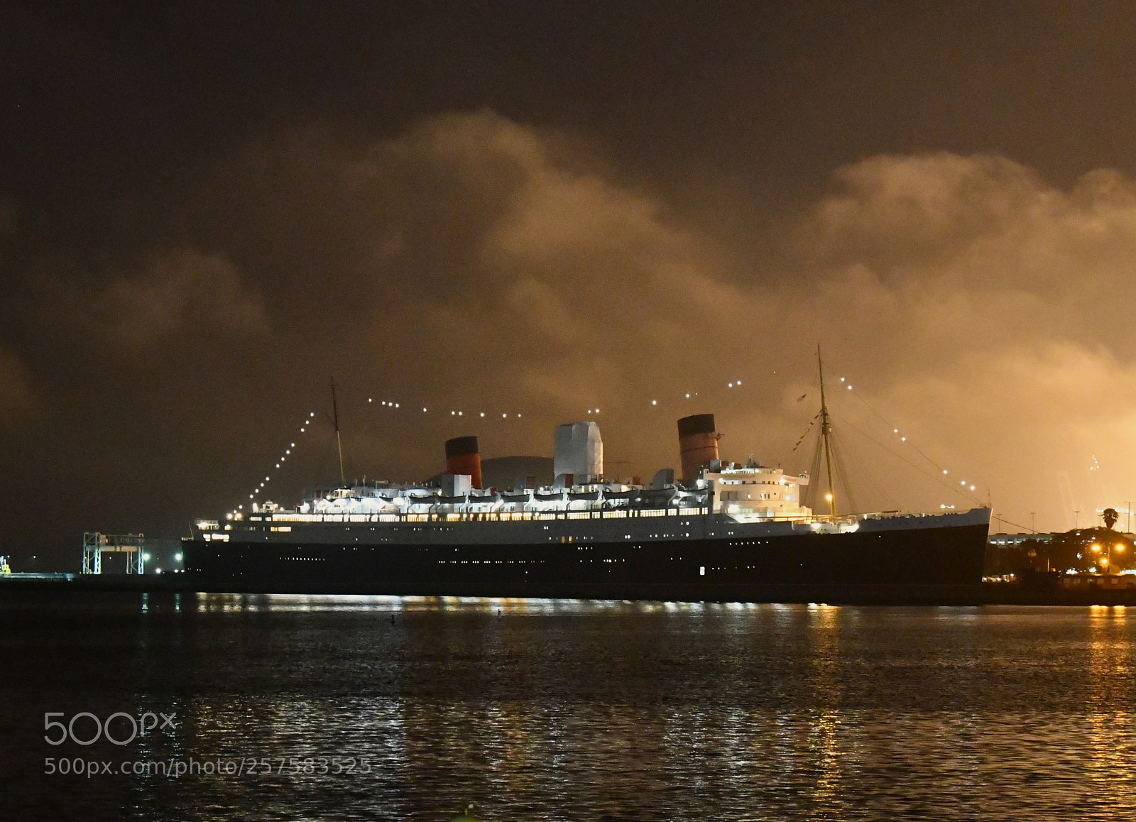 Nikon D7500 sample photo. The queen photography