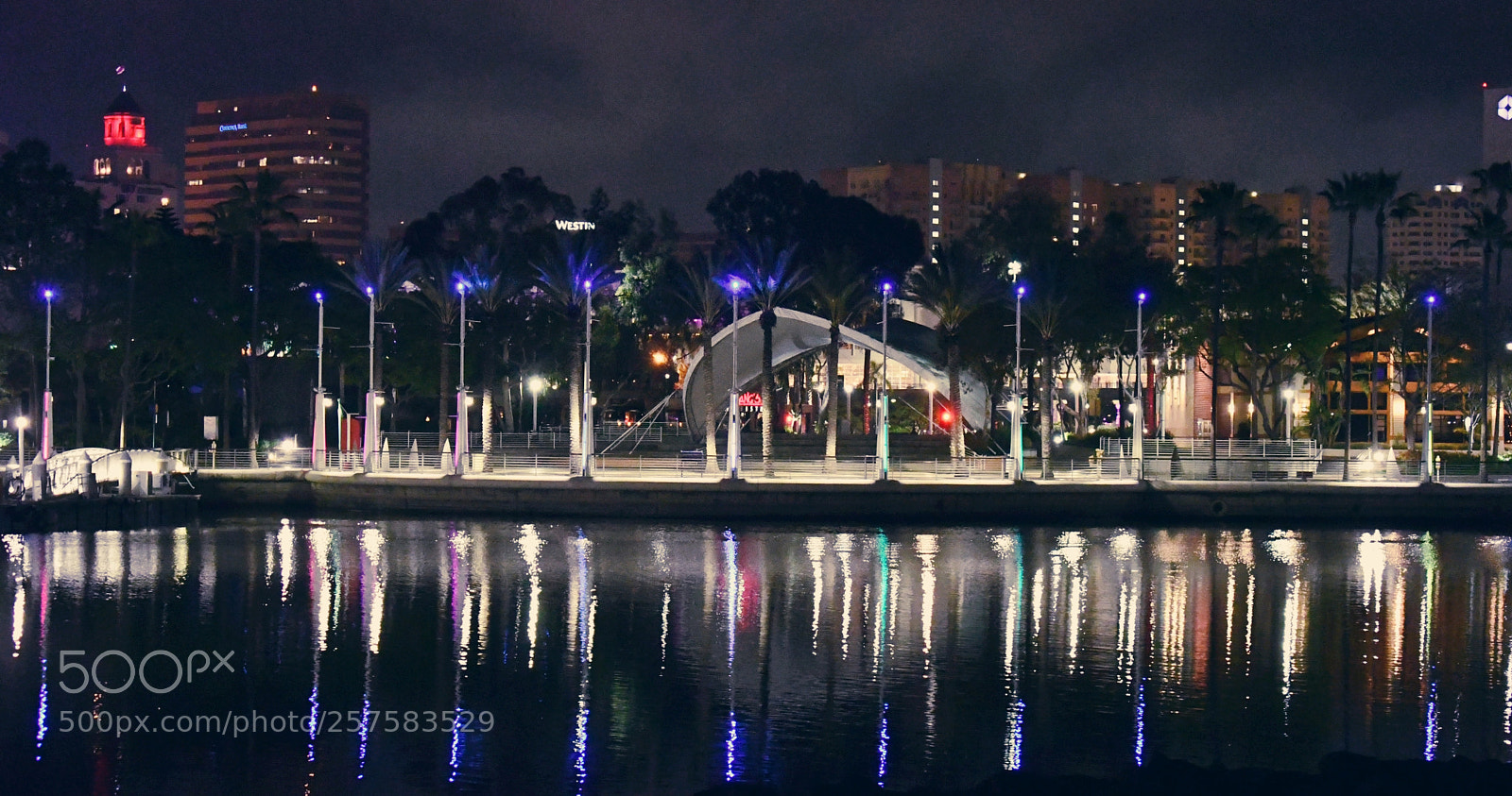 Nikon D7500 sample photo. Village walk photography