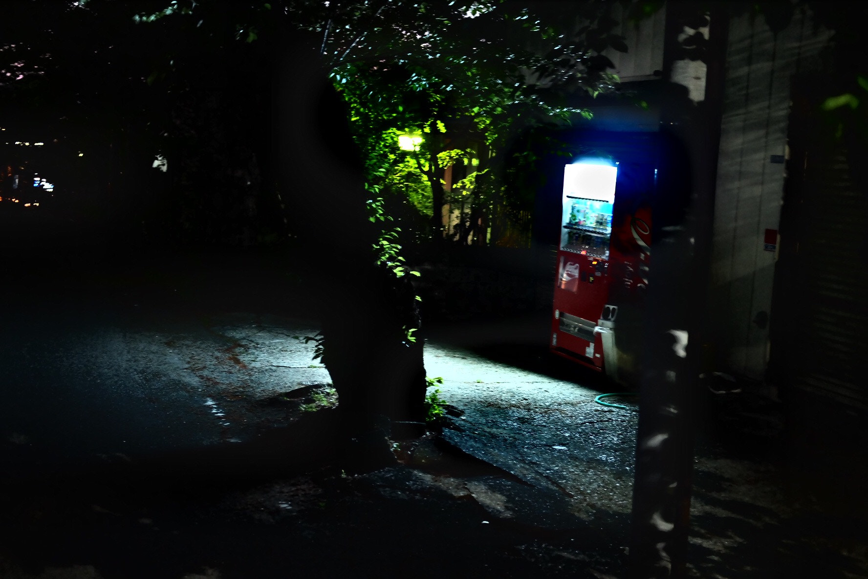 Fujifilm X-A1 sample photo