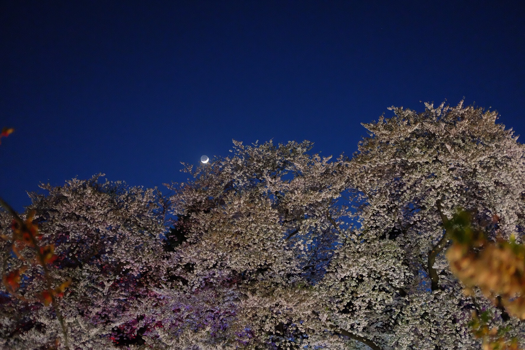 Fujifilm X-A1 sample photo