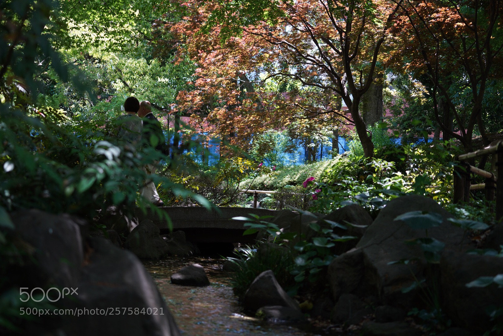 Sony a7 III sample photo. Untitled photography