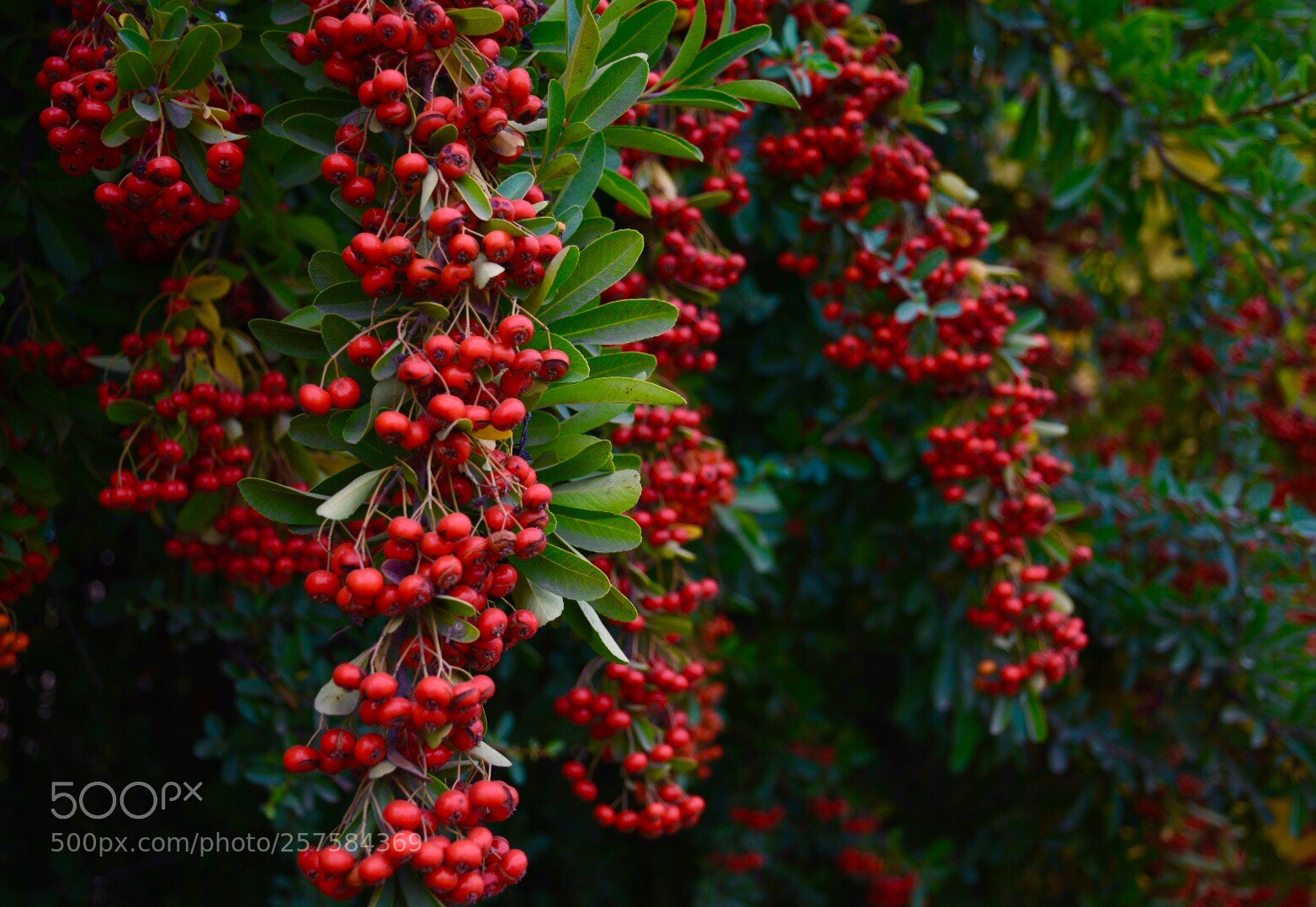 Nikon D5500 sample photo. Untitled photography