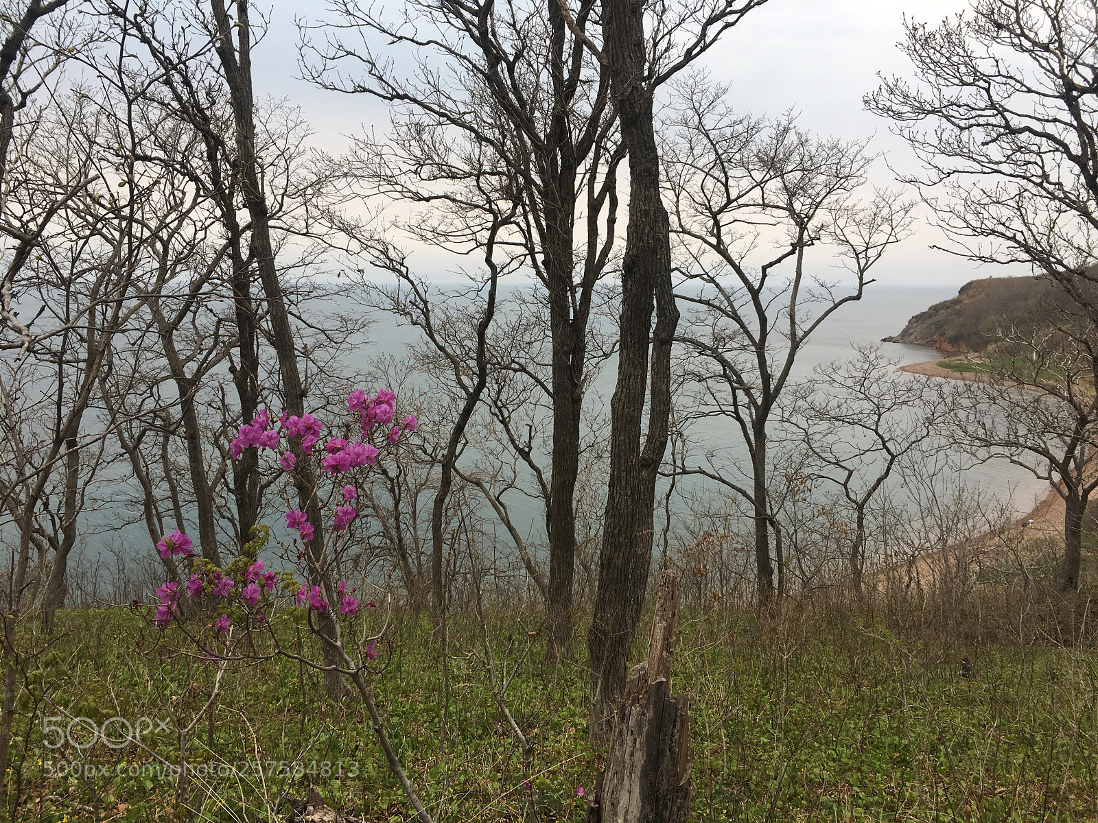 Apple iPhone 6s sample photo. Spring photography